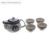 Набор для чайной церемонии 5 предметов &quot;Пожелание&quot; (чайник 200 мл, чашка 30 мл)