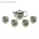 Набор для чайной церемонии 5 предметов "Пожелание" (чайник 400 мл, чашка 50 мл)