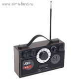Радиоприемник БЗРП РП-304, 220Вт, USB, SD, стереозвук 1106210