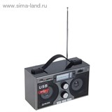 Радиоприемник БЗРП РП-306, 220Вт, USB, SD, стереозвук 1106211